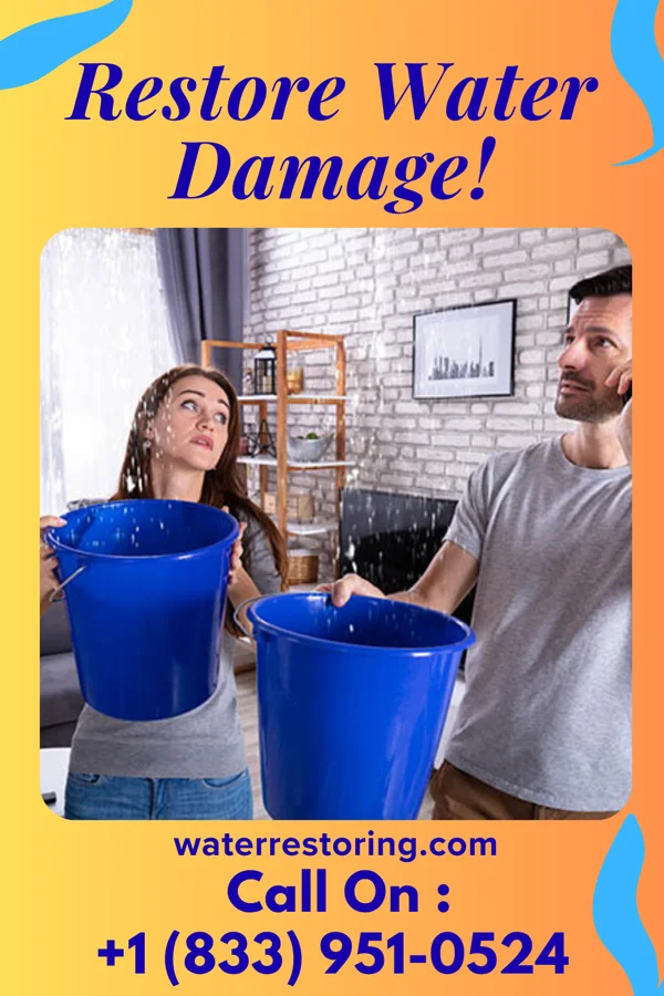 water restoration Ideal Mitigation Team Harold