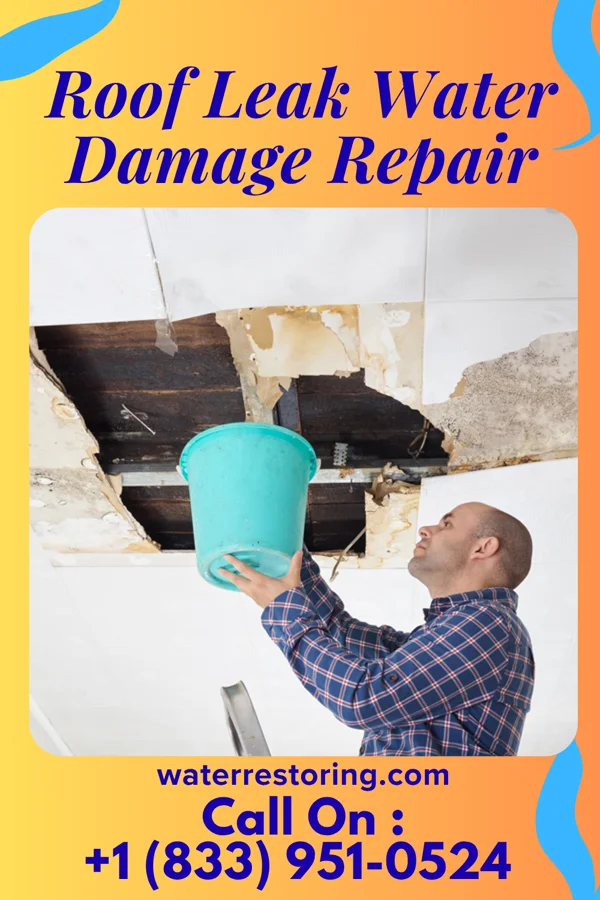 Roof Leak Water Damage Repair in Harold, FL