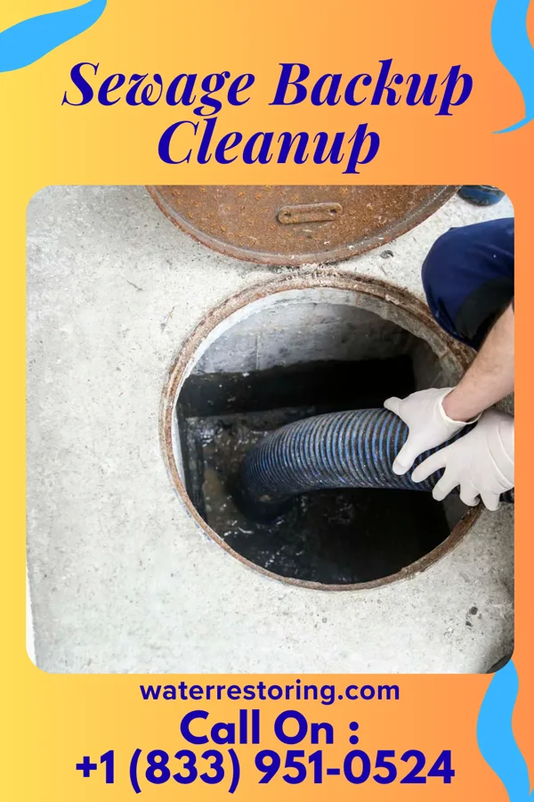 Sewage Backup Cleanup in Harold, FL